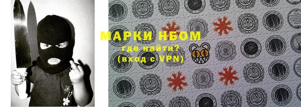 ГАЛЛЮЦИНОГЕННЫЕ ГРИБЫ Михайлов