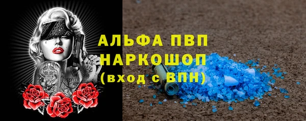 сатива Медвежьегорск
