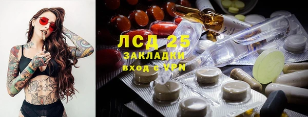 ГАЛЛЮЦИНОГЕННЫЕ ГРИБЫ Михайлов