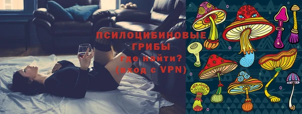 ГАЛЛЮЦИНОГЕННЫЕ ГРИБЫ Михайлов