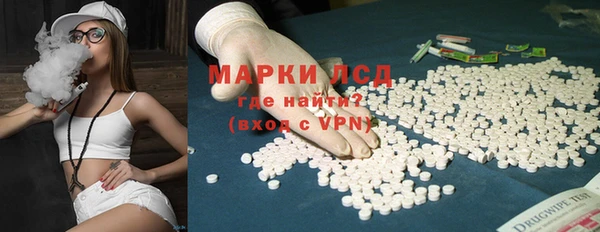 сатива Медвежьегорск